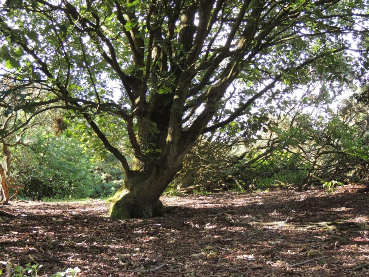 Wyldwood Lodge تشيدل المظهر الخارجي الصورة