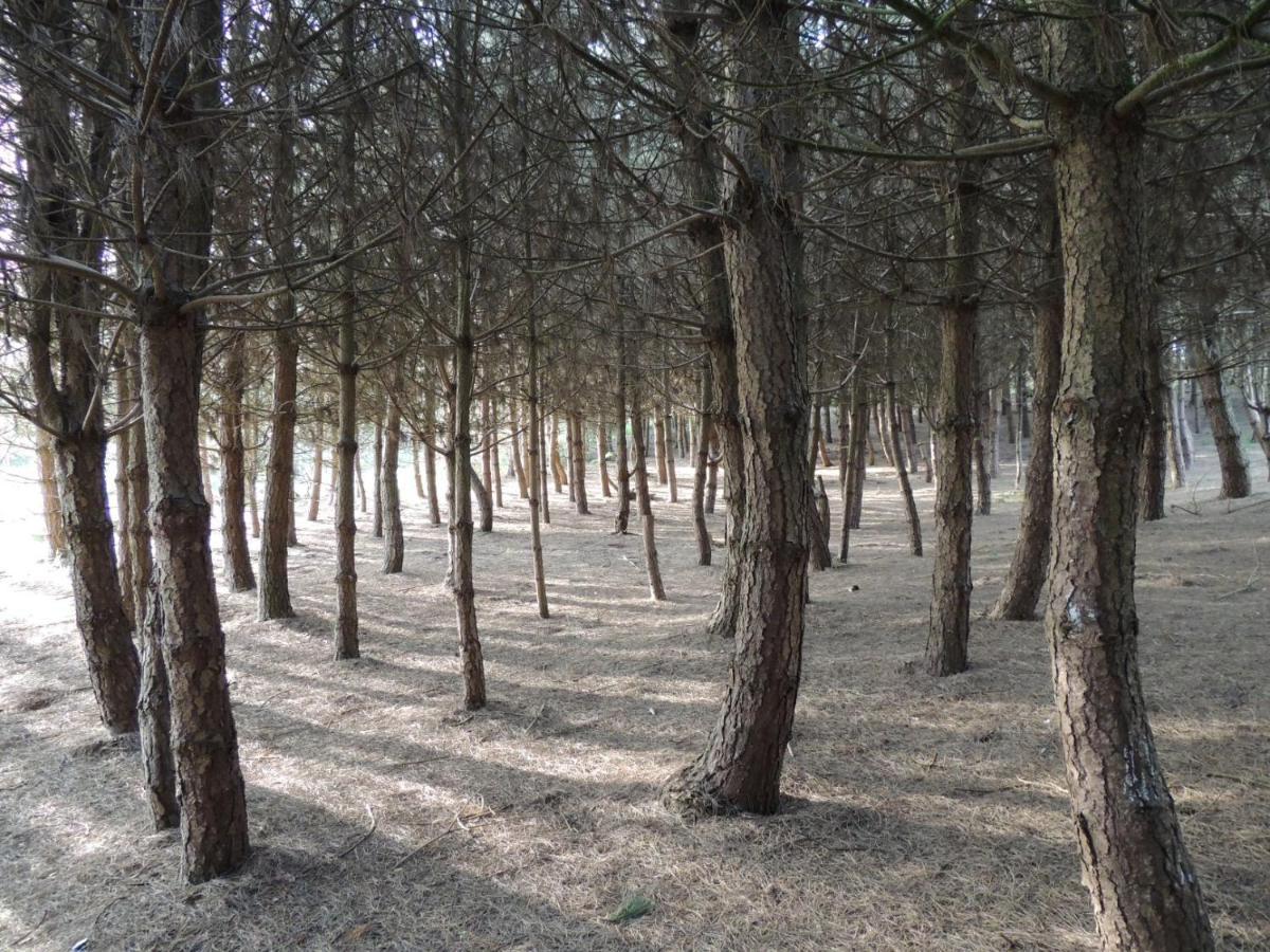 Wyldwood Lodge تشيدل المظهر الخارجي الصورة