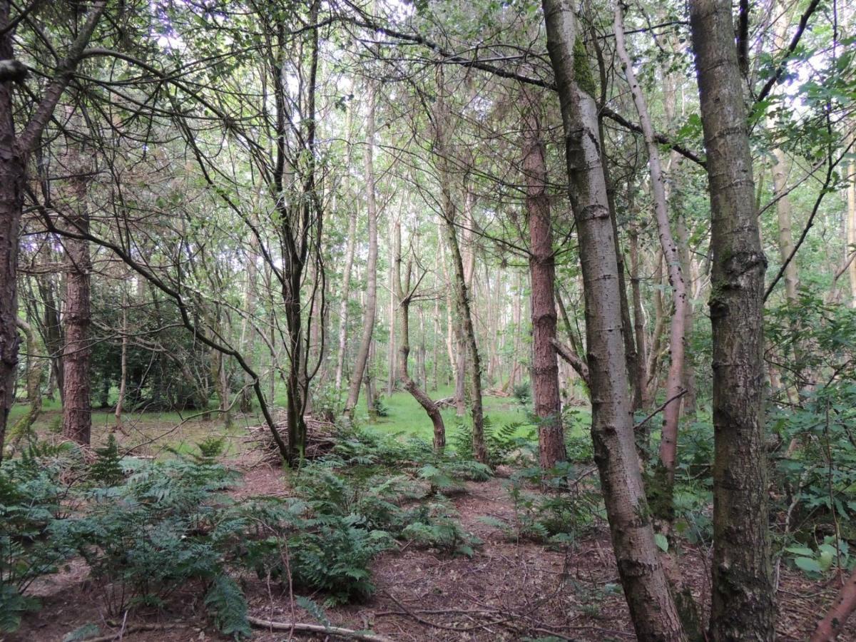 Wyldwood Lodge تشيدل المظهر الخارجي الصورة
